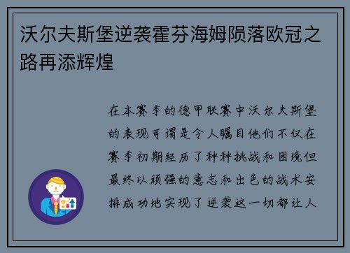 沃尔夫斯堡逆袭霍芬海姆陨落欧冠之路再添辉煌