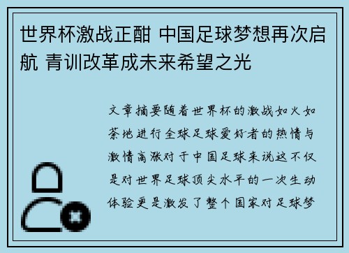 世界杯激战正酣 中国足球梦想再次启航 青训改革成未来希望之光