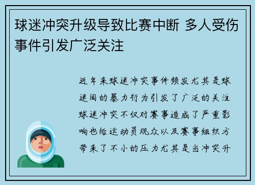球迷冲突升级导致比赛中断 多人受伤事件引发广泛关注