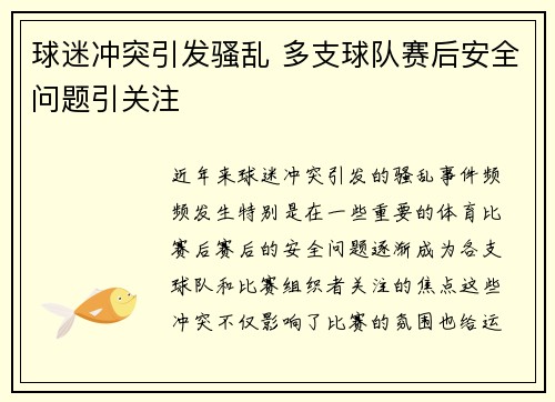 球迷冲突引发骚乱 多支球队赛后安全问题引关注