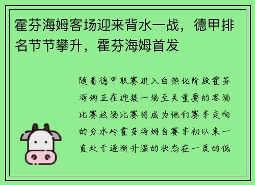 霍芬海姆客场迎来背水一战，德甲排名节节攀升，霍芬海姆首发